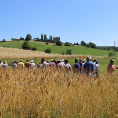 Groupe participant à une formation agroforesterie