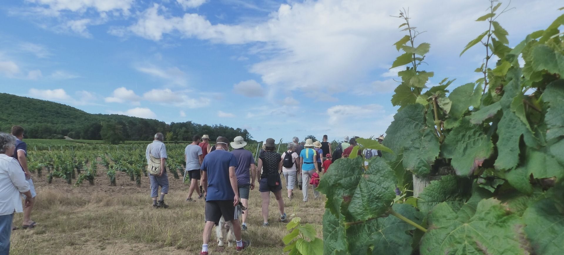 Rencontrer Les Agriculteurs - Agroforesterie Association Française