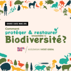 Affiche consultation sur la biodiversité de Make.org