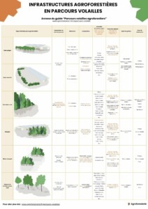 Type d’infrastructures Agroforestières en parcours volailles 