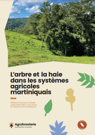 Couverture guide technique sur l'arbre et la haie en Martinique