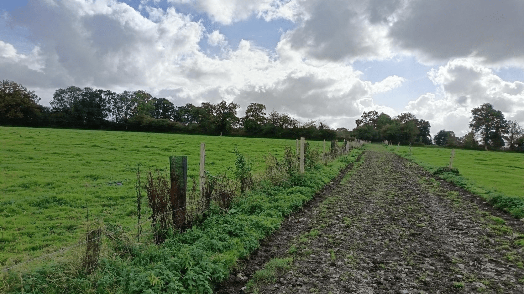 Ferme Normandie