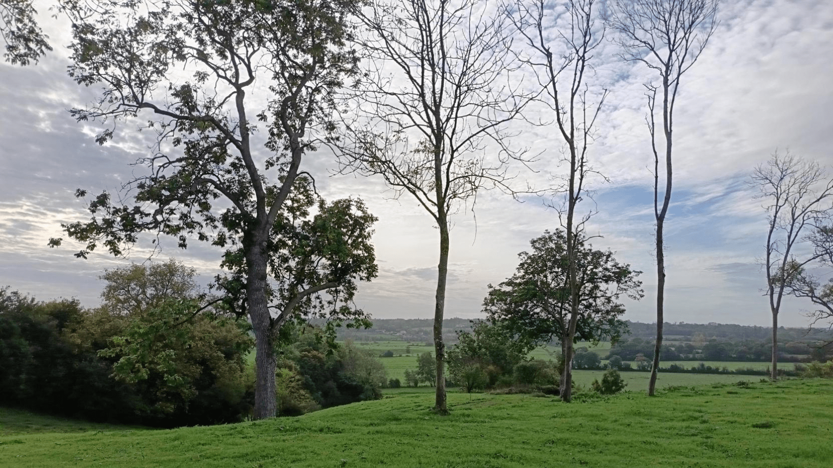 Ferme Normandie