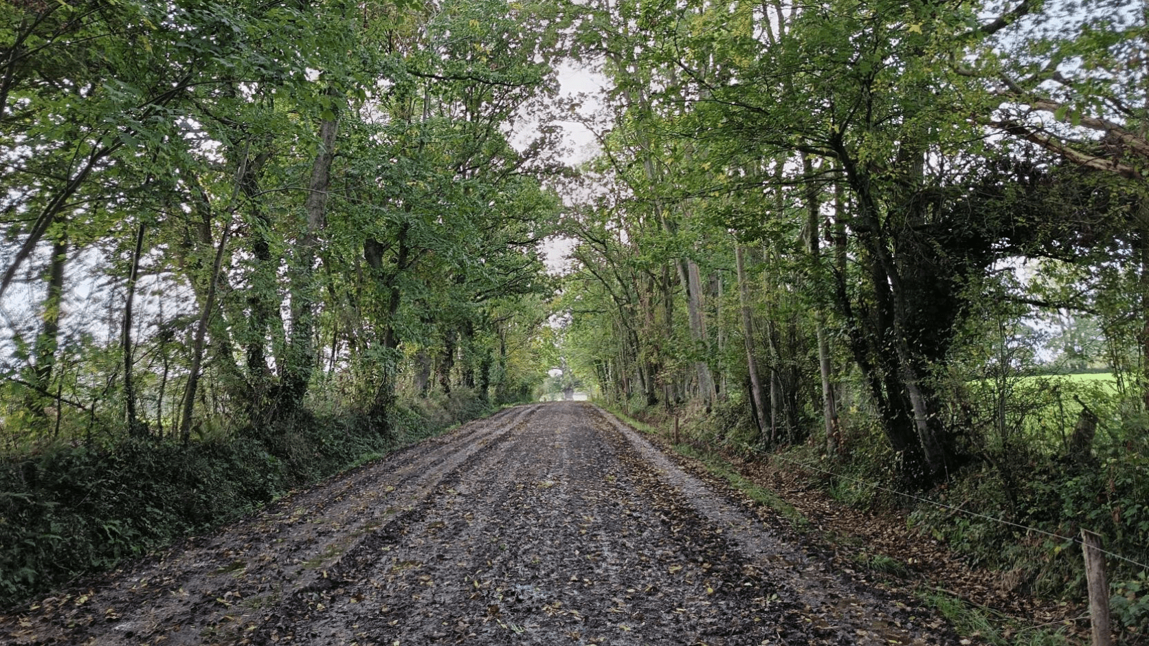 Ferme Normandie