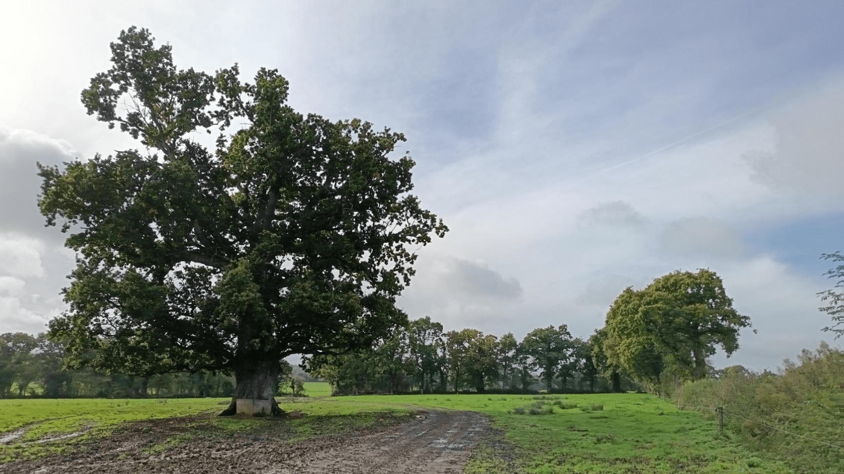 Ferme Normandie