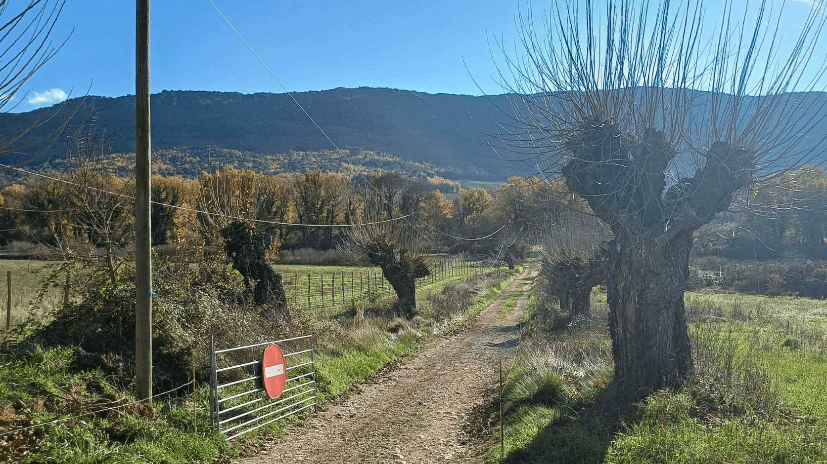 Domaine de la Modeste