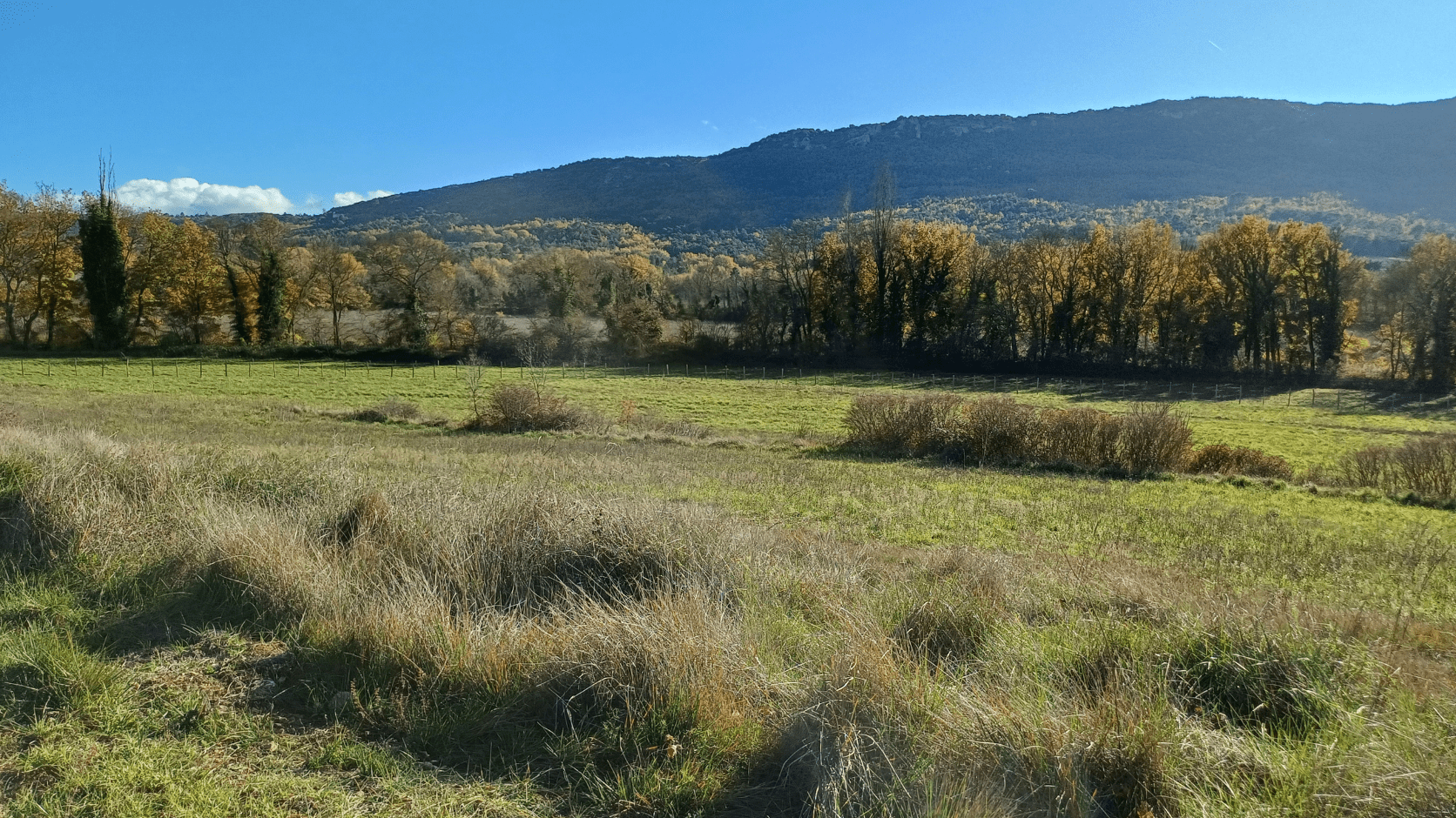 Domaine de la Modeste