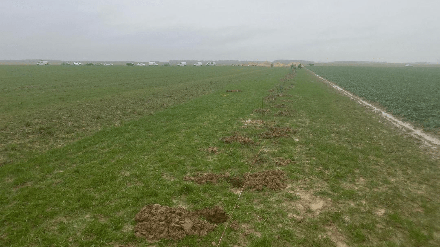 Plantation chez Amandine en Eure-et-Loir