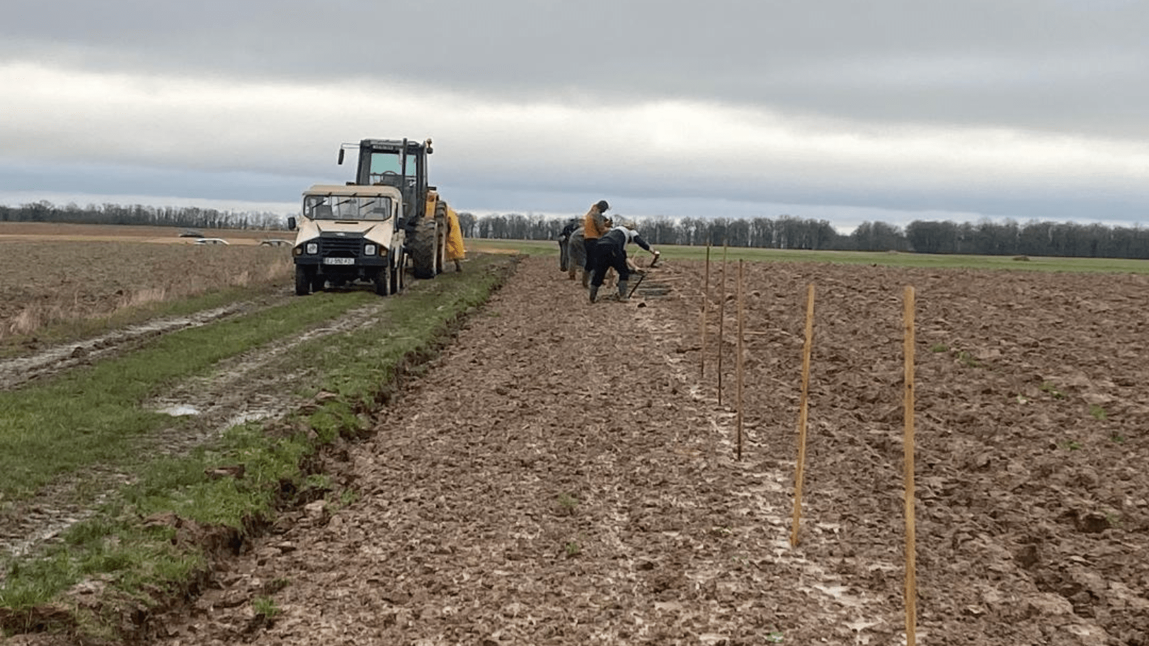 Plantation chez Florian en Eure-et-Loir