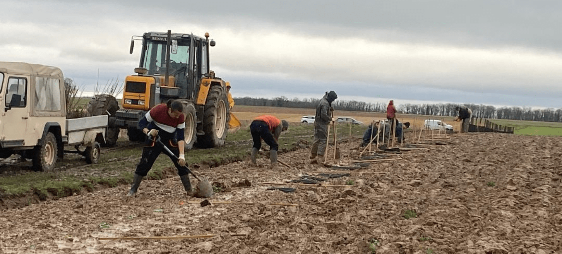 Plantation chez Florian en Eure-et-Loir