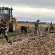 Plantation chez Florian en Eure-et-Loir