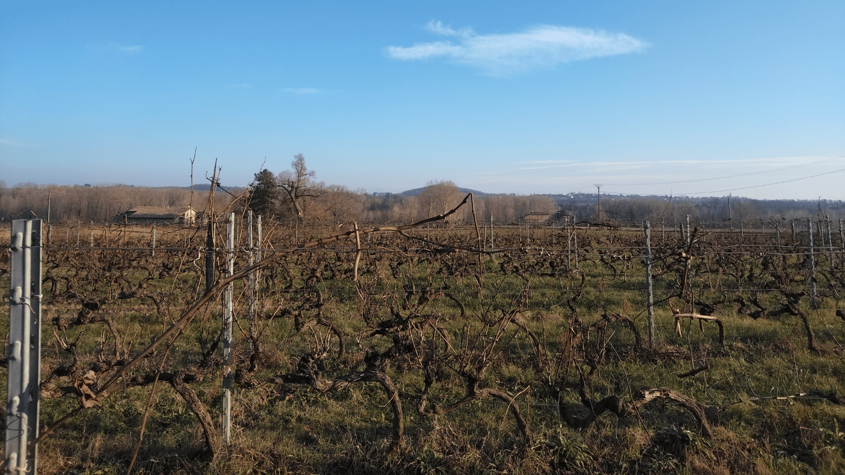 Visite ferme Benjamin Beaugiraud