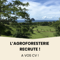 L'agroforesterie recrute